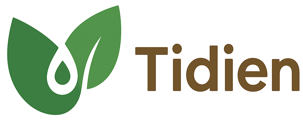 Tidien