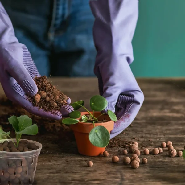 2L/1L Organic clay balls, Flower Substrate Drainage Expanded Clay, Hydroponic Gardening plant pot, Orchids, Drainage Aquaponic - Image 3