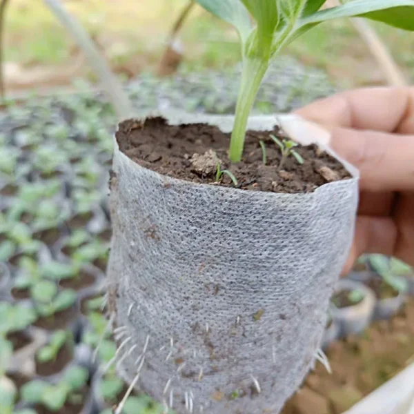 100-500Pcs Biodegradable Nursery Bag Plant Grow Bags Non-woven Fabric Seeds To Sow Flower Pots For Home Garden Accessories Tools - Image 6