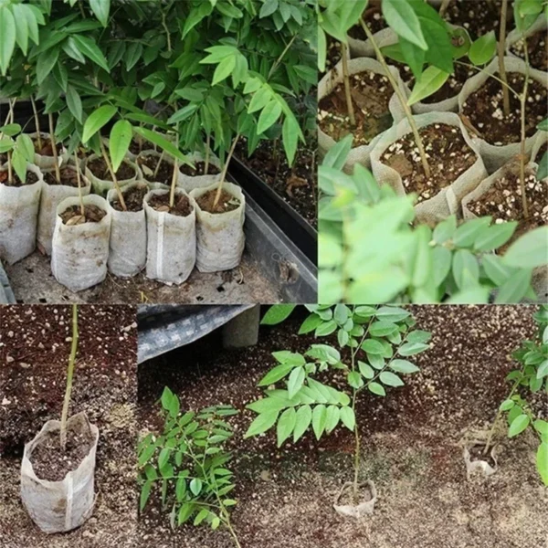 100Pcs Plant Grow Bags Nursery Bags Seeds To Sow Flower Pots Biodegradable Non-woven Fabric For Home Garden Accessories Tools - Image 5