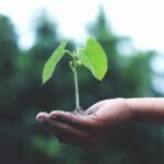 Natural Beauty & Health Products Worth Adding to Your Routine